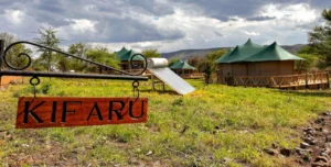 Acacia Central Camp - 195.7.4.97 -