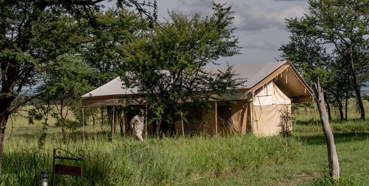 Acacia Central Camp - 195.7.4.97 -