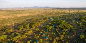 Acacia Central Camp - 195.7.4.97 -