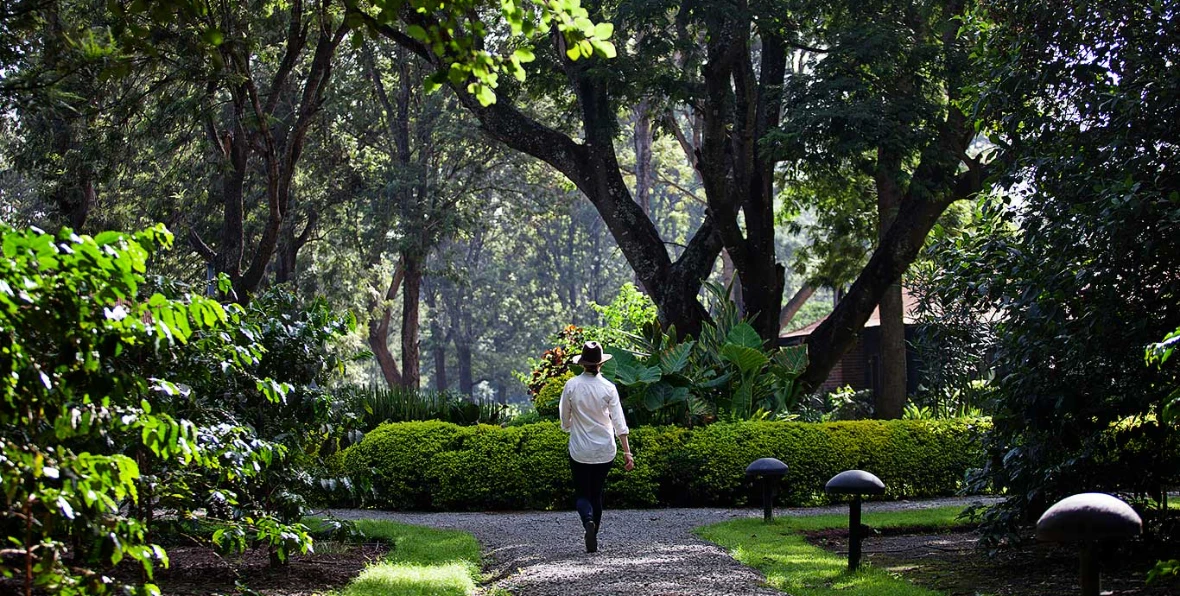 Arusha Coffe Lodge - 195.7.4.97 -