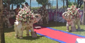 Baobab Beach Resort - 195.7.4.97 -