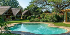 Hippo Hollow - 195.7.4.97 -