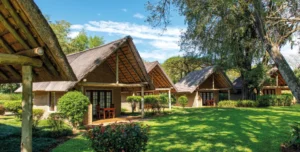 Hippo Hollow - 195.7.4.97 -