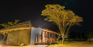 Karatu Simba Lodge - 195.7.4.97 -