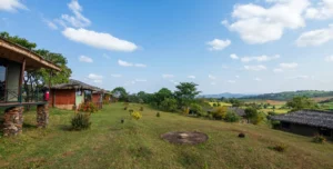 Karatu Simba Lodge - 195.7.4.97 -