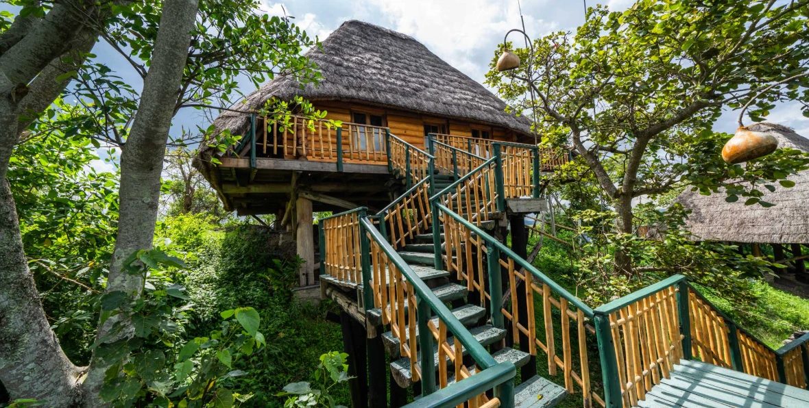 Kyaninga - 195.7.4.97 -