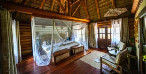 Kyaninga - 195.7.4.97 -