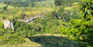 Kyaninga - 195.7.4.97 -