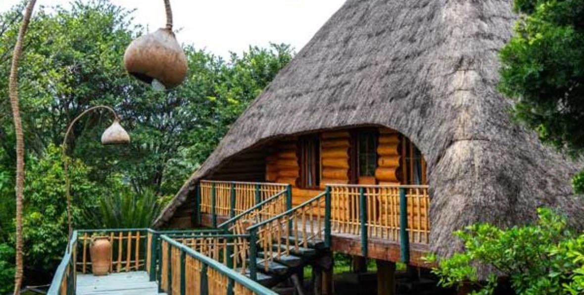 Kyaninga - 195.7.4.97 -