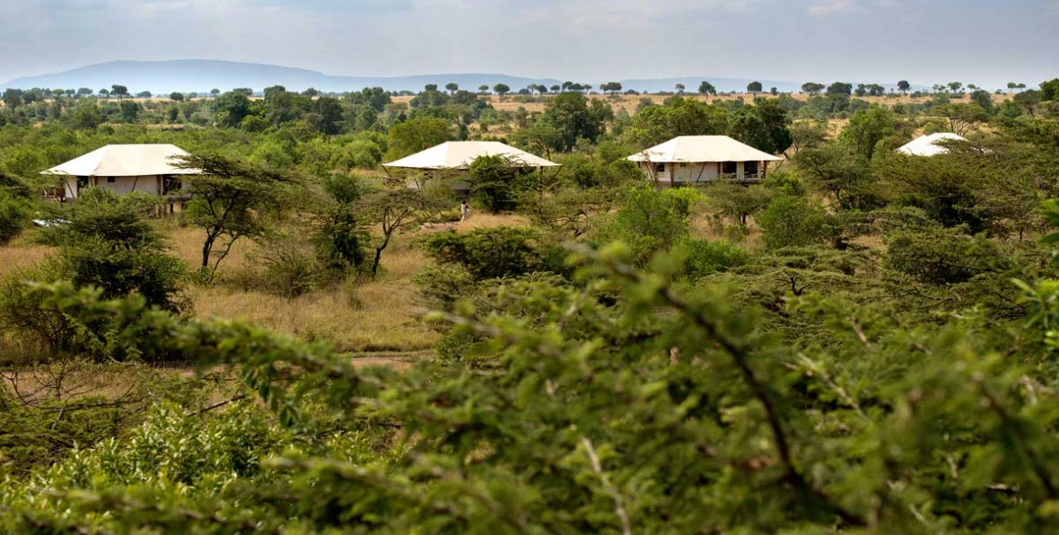 Neptune Mara - 195.7.4.97 -