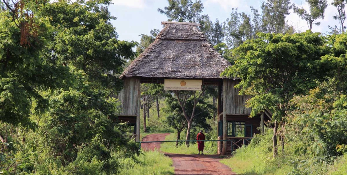 Neptune Ngonongoro - 195.7.4.97 -