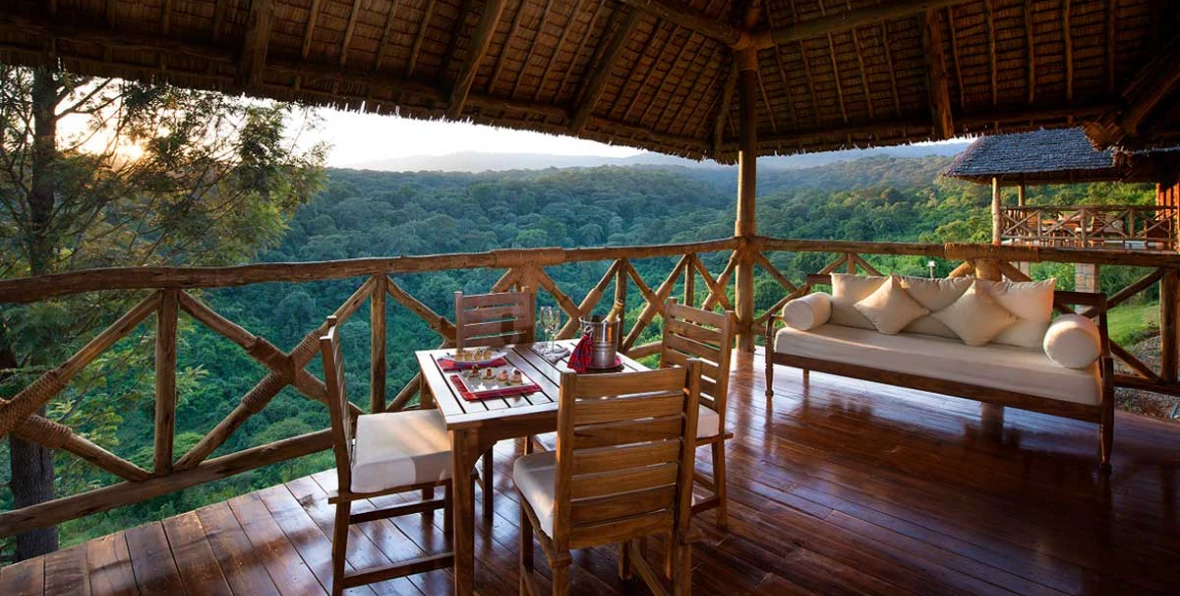 Neptune Ngonongoro - 195.7.4.97 -