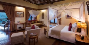 Neptune Ngonongoro - 195.7.4.97 -