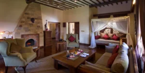 Neptune Ngonongoro - 195.7.4.97 -