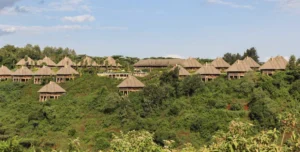 Neptune Ngonongoro - 195.7.4.97 -