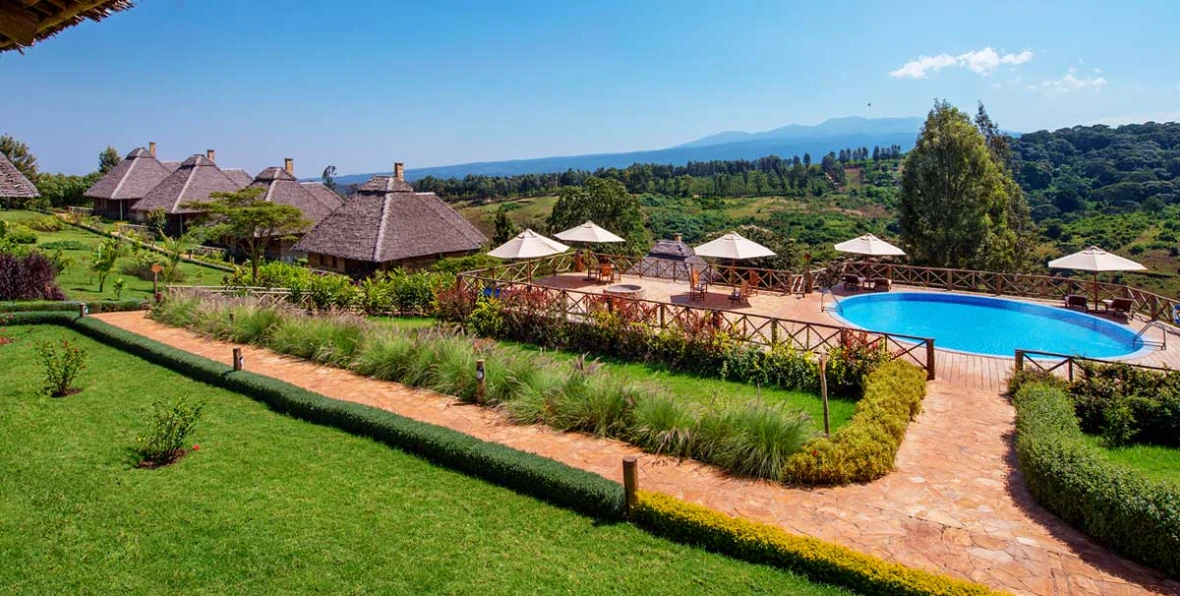 Neptune Ngonongoro - 195.7.4.97 -