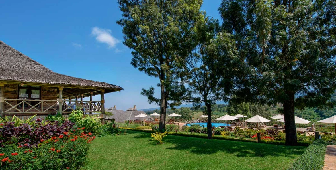 Neptune Ngonongoro - 195.7.4.97 -