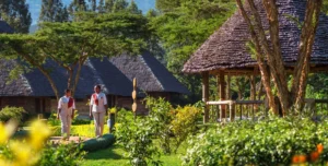 Neptune Ngonongoro - 195.7.4.97 -