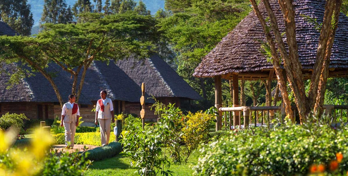 Neptune Ngonongoro - 195.7.4.97 -