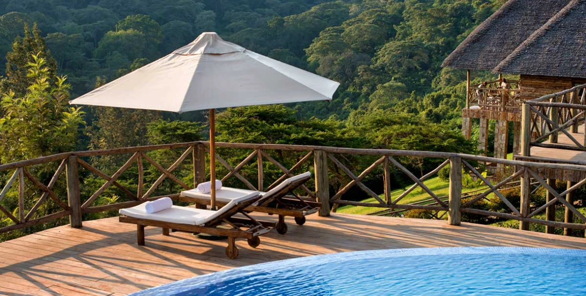 Neptune Ngonongoro - 195.7.4.97 -