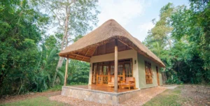 Primary Lodge Kibale - 195.7.4.97 -