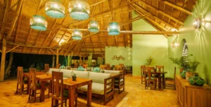 Primary Lodge Kibale - 195.7.4.97 -