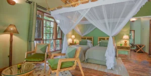 Primary Lodge Kibale - 195.7.4.97 -