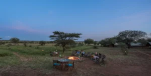 Ronjo Camp - 195.7.4.97 -