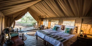 Ronjo Camp - 195.7.4.97 -