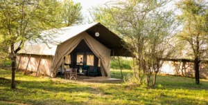 Ronjo Camp - 195.7.4.97 -