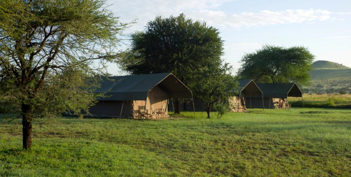 Ronjo Camp - 195.7.4.97 -