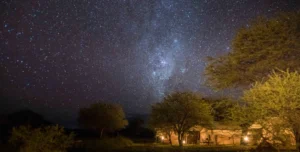 Ronjo Camp - 195.7.4.97 -