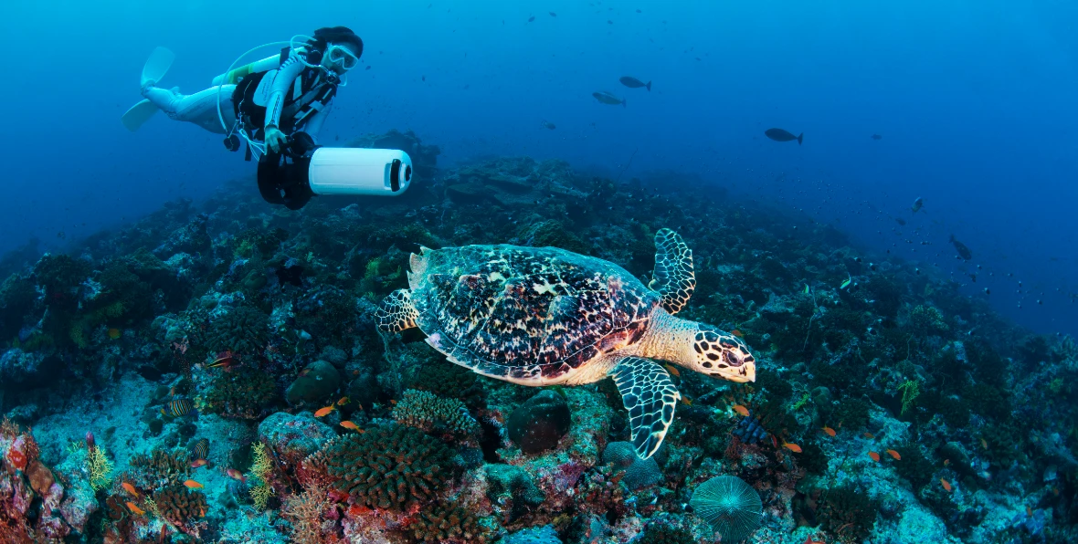 Servicios - 195.7.4.97 -