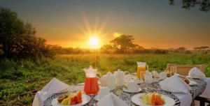 Tarangire Sopa Lodge - 195.7.4.97 -