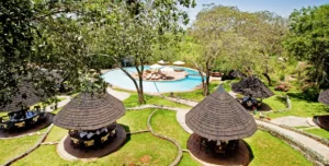 Tarangire Sopa Lodge - 195.7.4.97 -