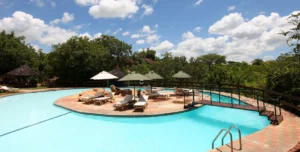 Tarangire Sopa Lodge - 195.7.4.97 -