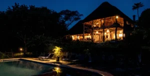 Turaco - 195.7.4.97 -