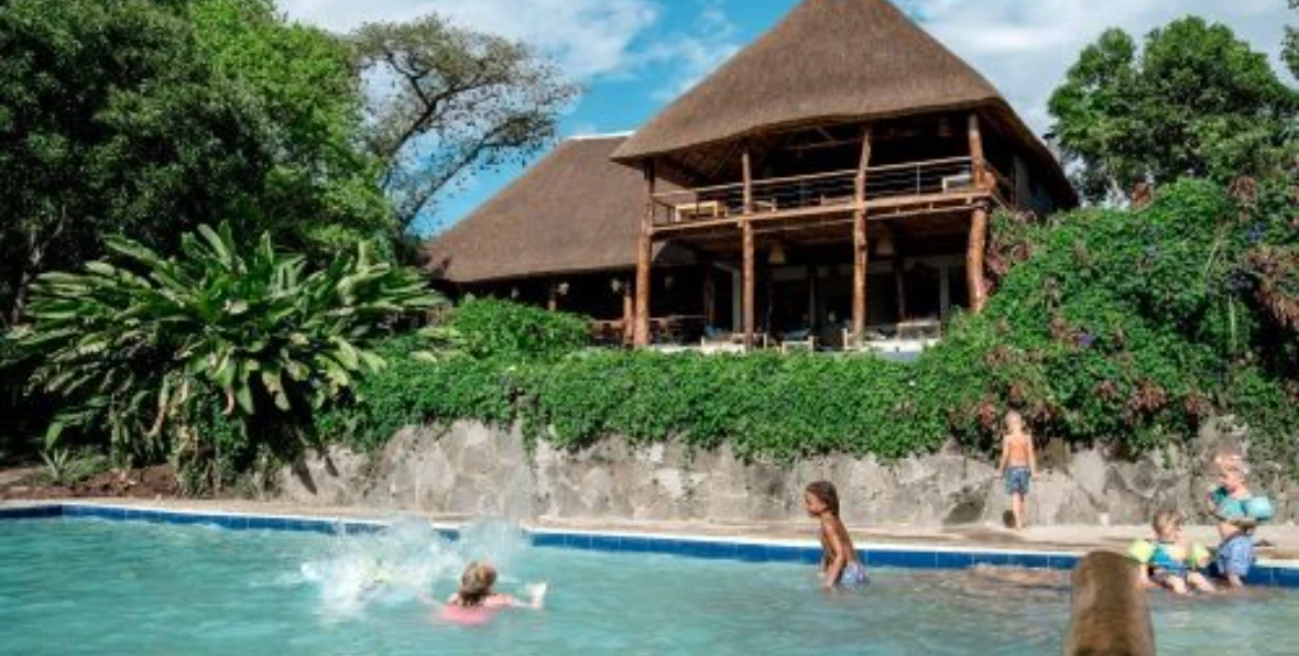 Turaco - 195.7.4.97 -