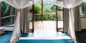 Turaco - 195.7.4.97 -