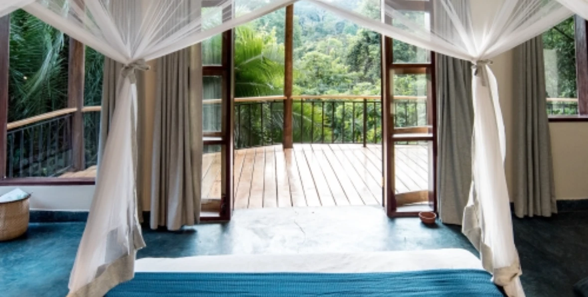 Turaco - 195.7.4.97 -