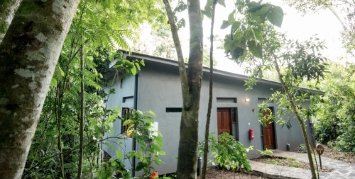 Turaco - 195.7.4.97 -