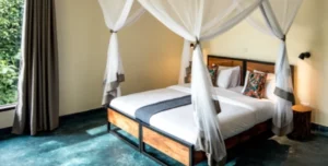 Turaco - 195.7.4.97 -