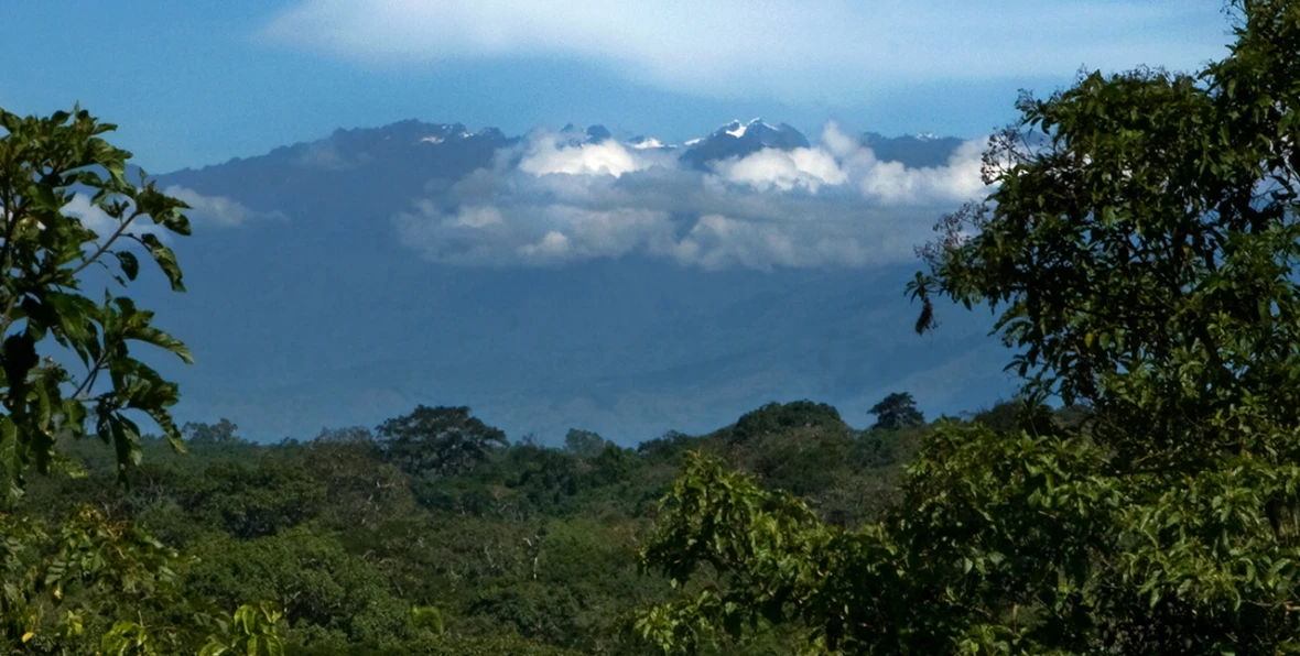 Turaco - 195.7.4.97 -