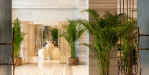 St Regis - 195.7.4.97 -