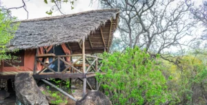 Maweninga Camp - 195.7.4.97 -