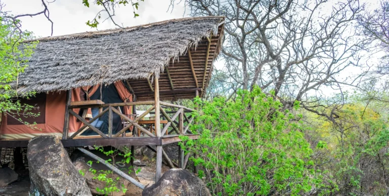 Maweninga Camp Tarangire National Park