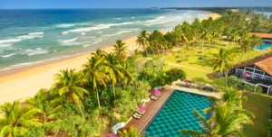 Thaala - 195.7.4.97 -