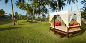 Thaala - 195.7.4.97 -