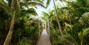 Thebrando - 195.7.4.97