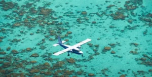 Thebrando - 195.7.4.97